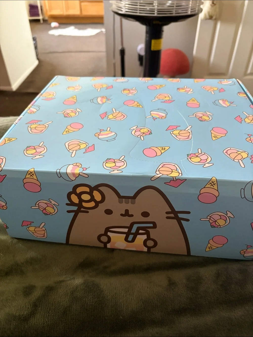 Pusheen Summer 2026 pet box with 6 NWT goodies